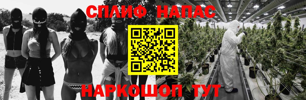 Канабис индика Кострома